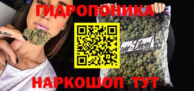 метадон Новозыбков