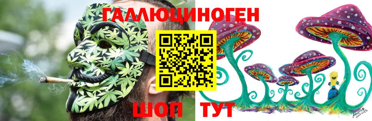Псилоцибиновые грибы прущие грибы  Вход с VPN  Сокол 