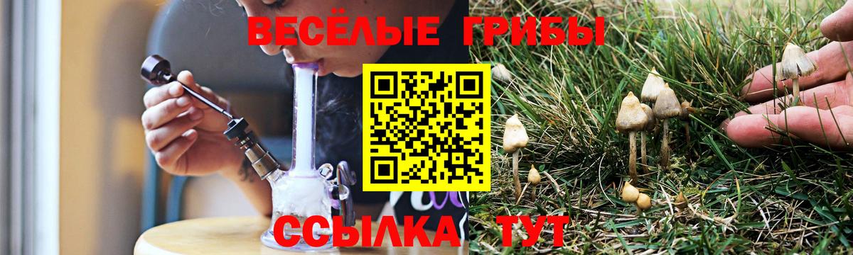 Галлюциногенные грибы Psilocybine cubensis Сокол